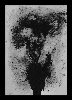 wp606914e0_0f.jpg